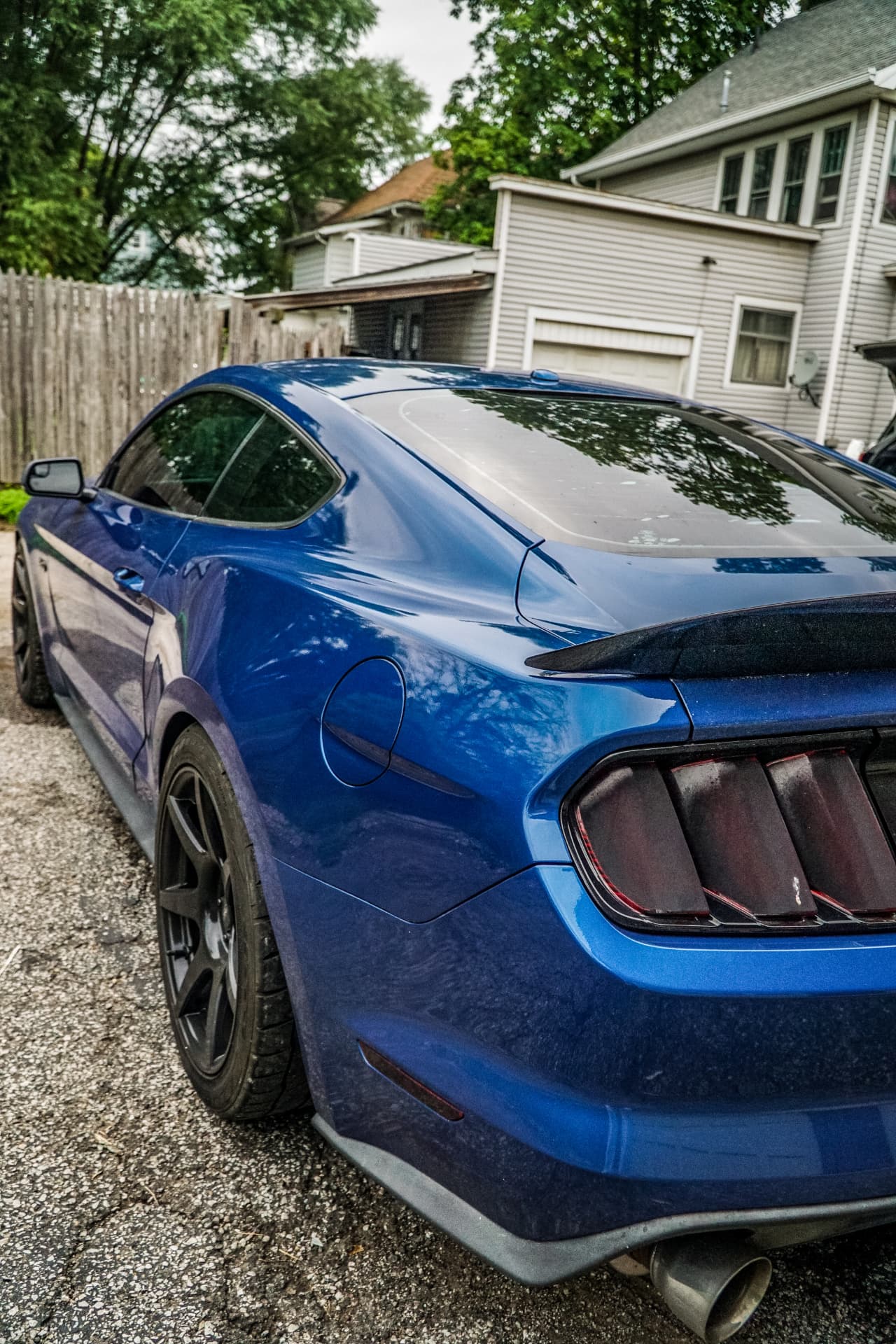 Glossy rear profile of a finished detail by MR Mobile Detailing