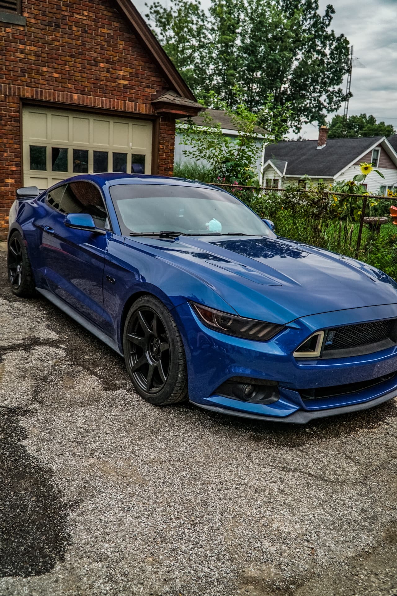 Mustang GT — complete detail — mobile detailing in Ashland, Ohio